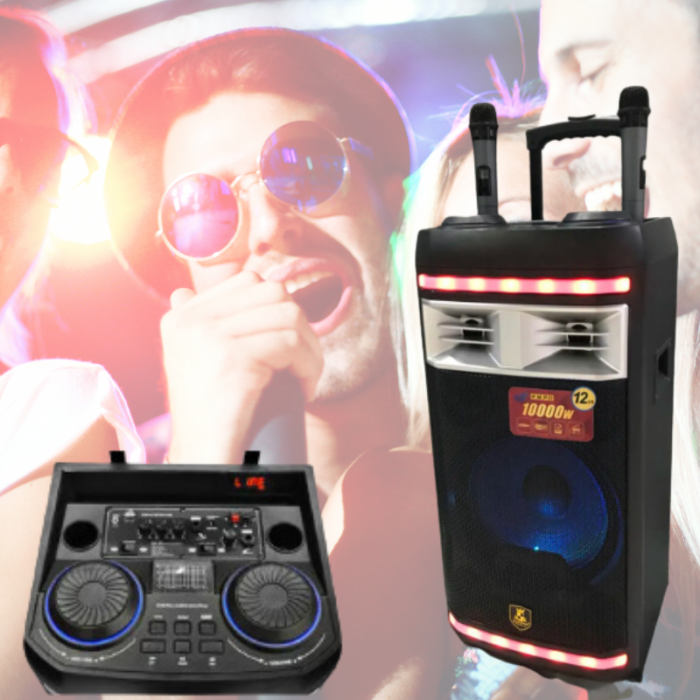 Cassa Amplificata Karaoke 10.000W Bluetooth – 2 Microfoni Wireless, USB e Funzioni Professionali