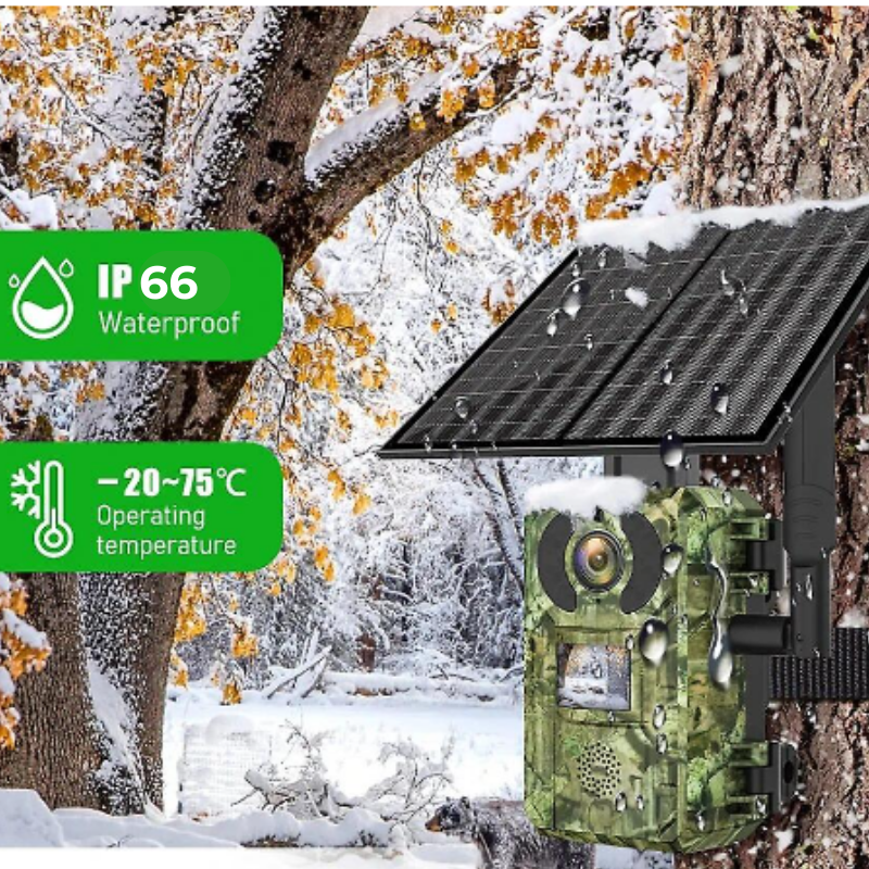 Pezzellashop Offerte Online Su Elettronica, Casa e Fai Da Te