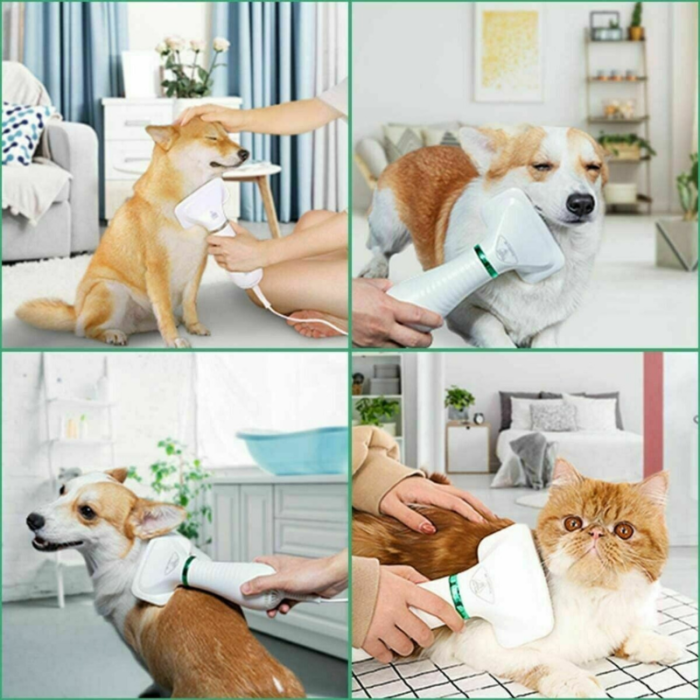 Spazzola Phon 2 in 1 Animali Domestici Asciuga e Pettina Peli - Rumore Basso 2 Velocità
