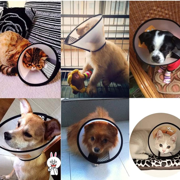 Collare Elisabettiano PVC Taglia Piccola 17-32cm per Cani e Gatti, Trasparente Anti-Morso