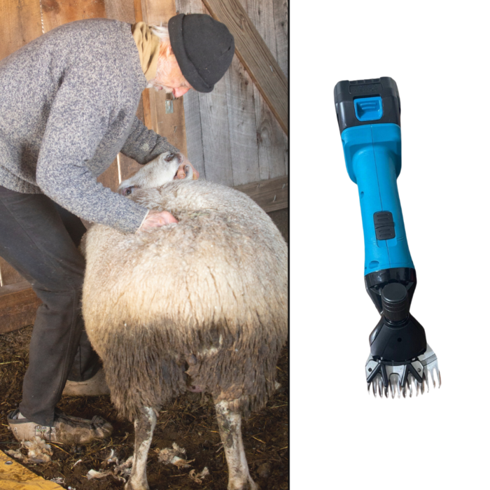 Macchina Tosatrice Tosapecora Professionale 68V | Doppia Batteria 800-1500W per Ovini