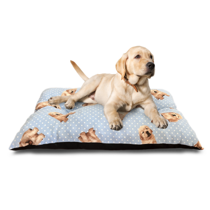 Cuccia Rettangolare Cuscino Morbido 50x35cm Taglia Piccola per Cani e Gatti Materassino Senza Bordi