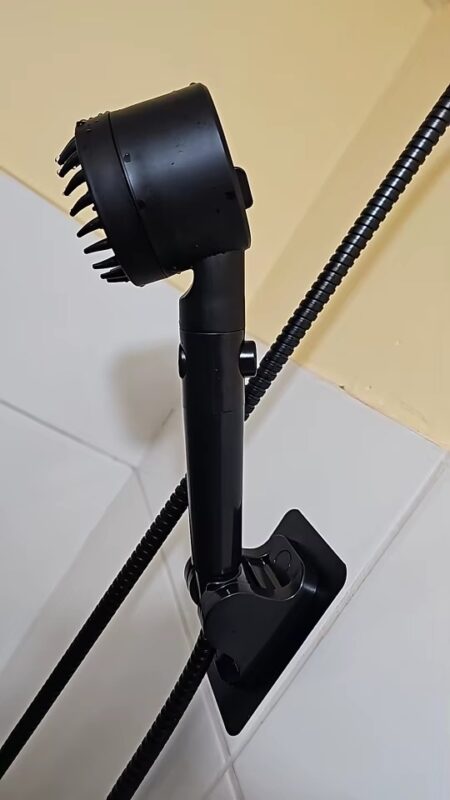 Immagine #1 da Lorenzo V. da Forlì