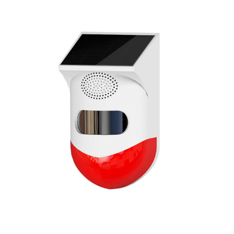 Pezzellashop Offerte Online Su Elettronica, Casa e Fai Da Te