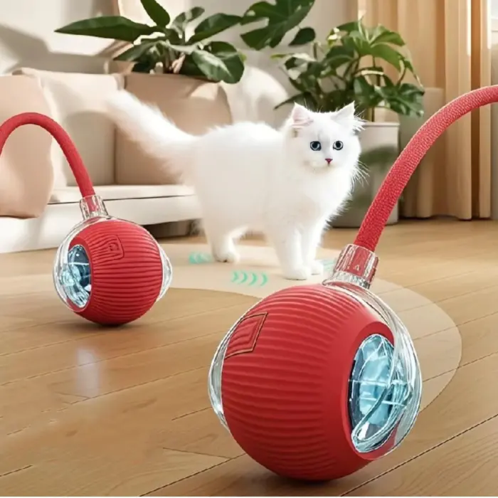 Palla Rotante Coda Gatti Speedy Tail Interattiva Ricaricabile USB