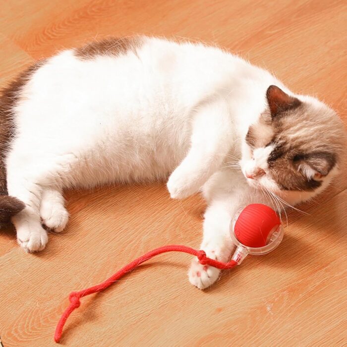 Palla Rotante Coda Gatti Speedy Tail Interattiva Ricaricabile USB
