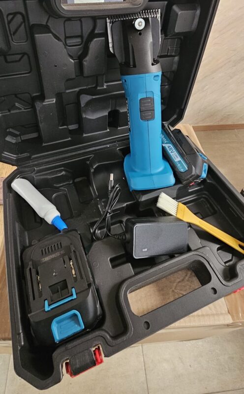 Immagine #1 da domenico