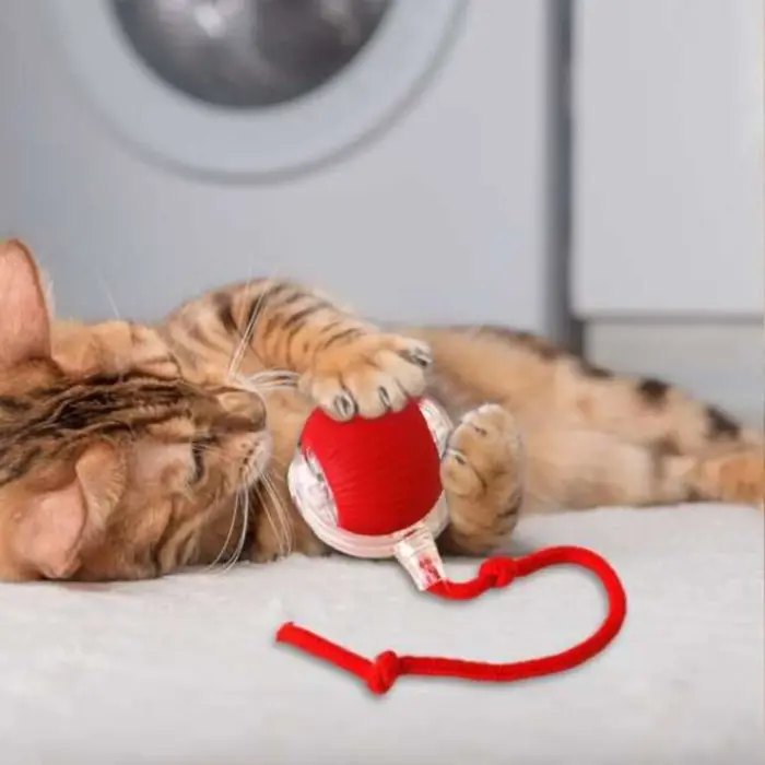 Palla Rotante Coda Gatti Speedy Tail Interattiva Ricaricabile USB