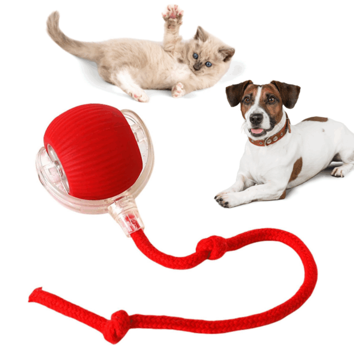 Palla Rotante Coda Gatti Speedy Tail Interattiva Ricaricabile USB