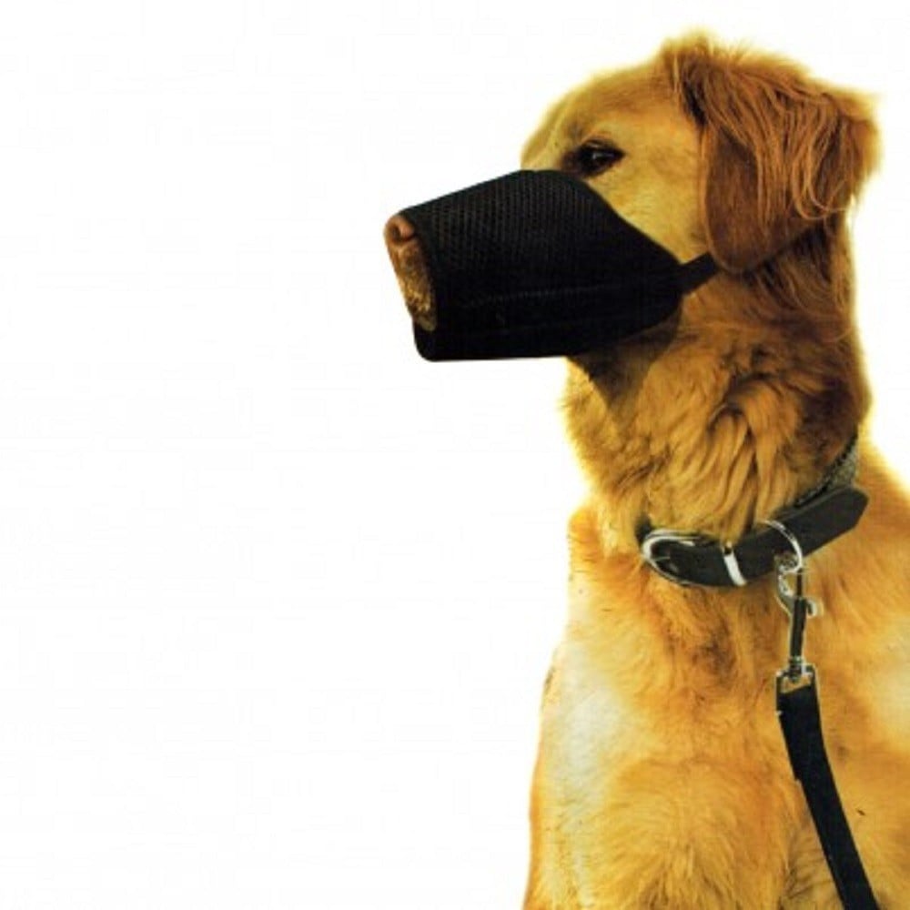 museruola-regolabile-in-nylon-nobleza-lavabile-per-sicurezza-muzzle-dog.jpg Museruola Regolabile Nylon Nobleza Lavabile Per Cane